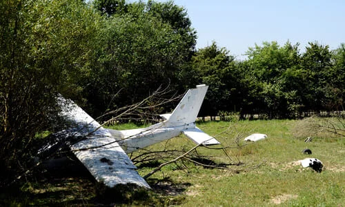 A white-colored light airplane crashed into a tree at the edge of a clearing.